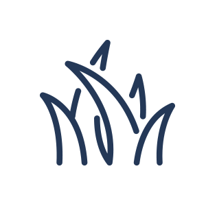 landscape icon
